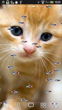 KITTY & FISH LIVE WALLPAPER(5) screenshot 2