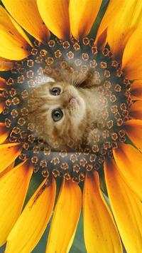 Photo frame – photo  frames editor screenshot 9