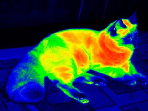 Thermal Camera: Best Thermal Camera screenshot 2