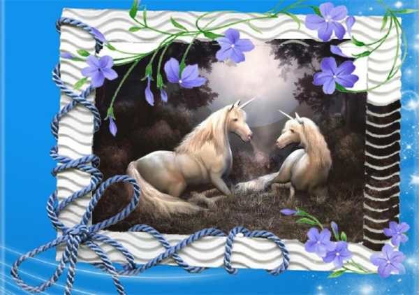 Photo Frames Flowers Love screenshot 1