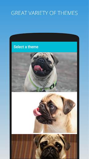 Amazing Pugs Keyboard Theme screenshot 1