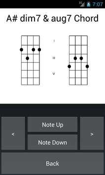 Banjo Tuner N Banjo Chords 4 تصوير الشاشة