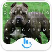 New Pitbull Keyboard Theme on 9Apps