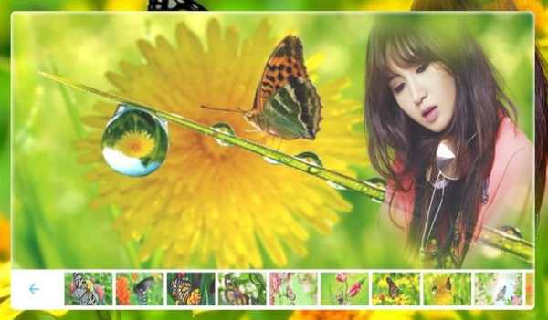 Butterfly Photo frame screenshot 5