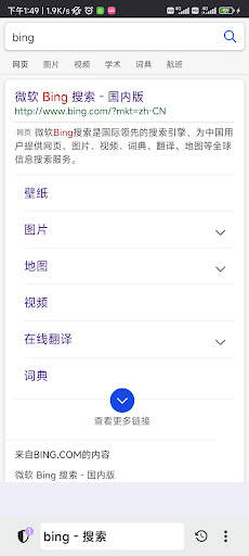 Lite Browser screenshot 3