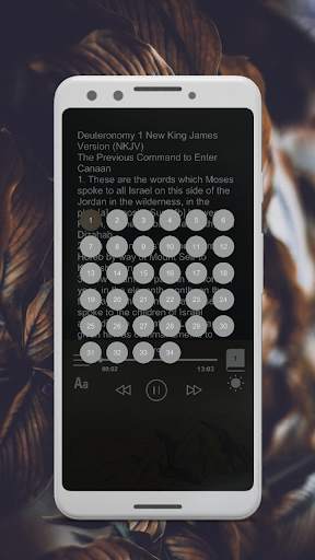 NKJV Bible Free Download screenshot 8