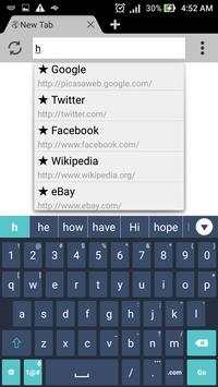 Web Browser screenshot 4