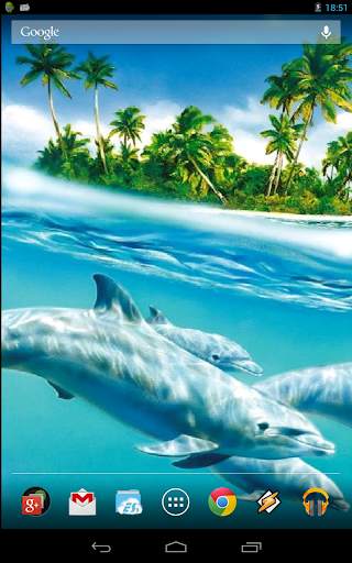 Magic Touch: Dolphins screenshot 5