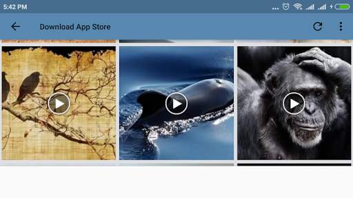 Download App Store screenshot 10