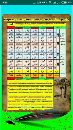 Arabic verbs - tests. Lite screenshot 3