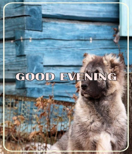 Good Evening Images screenshot 5