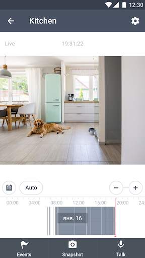 Mobile Camera Viewer screenshot 2