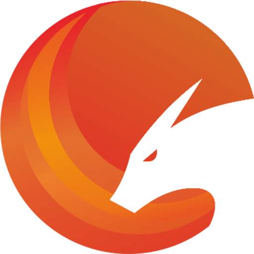 Dragons Browser - Faster Secure Privacy 1.1