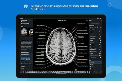 e-Anatomy screenshot 13