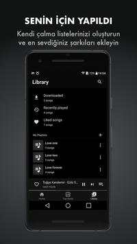 InMusic screenshot 5