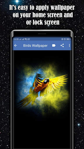 Birds Wallpaper स्क्रीनशॉट 2