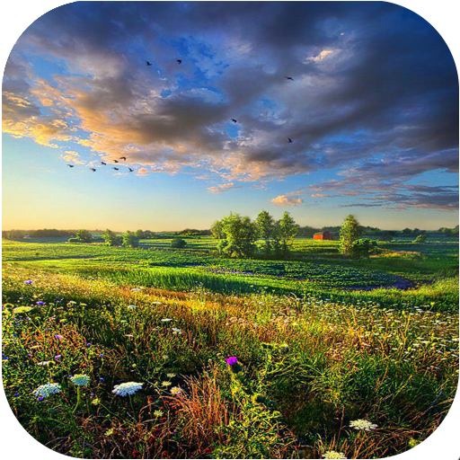 Hd Nature Wallpaper 2 icon