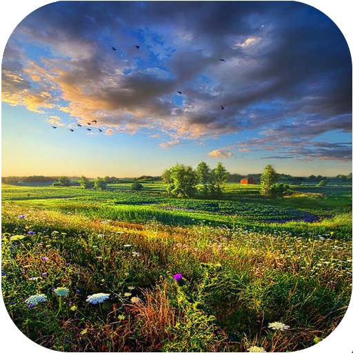Hd Nature Wallpaper 2 1.0