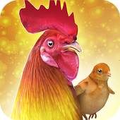 Rooster Chicks - Chicken Farm 1.6.1