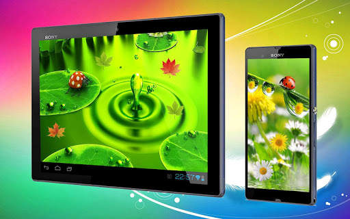 Ladybug 3D Live Wallpaper 3 تصوير الشاشة