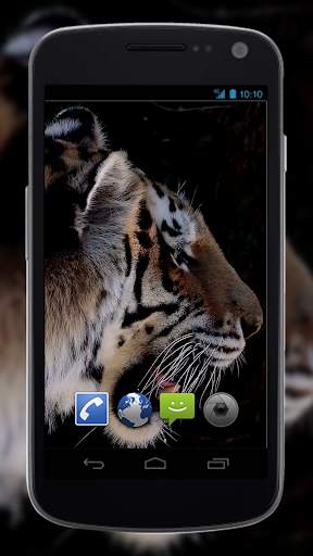 4K MightyTiger Video Live Wallpaper screenshot 1