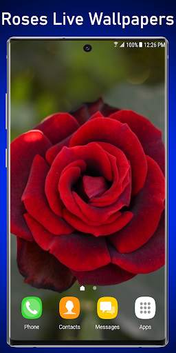 Roses Water Live Wallpaper screenshot 5