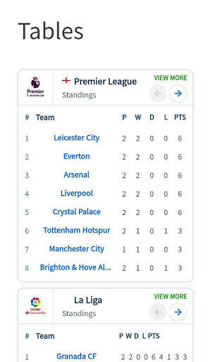 Soccer Legend screenshot 3