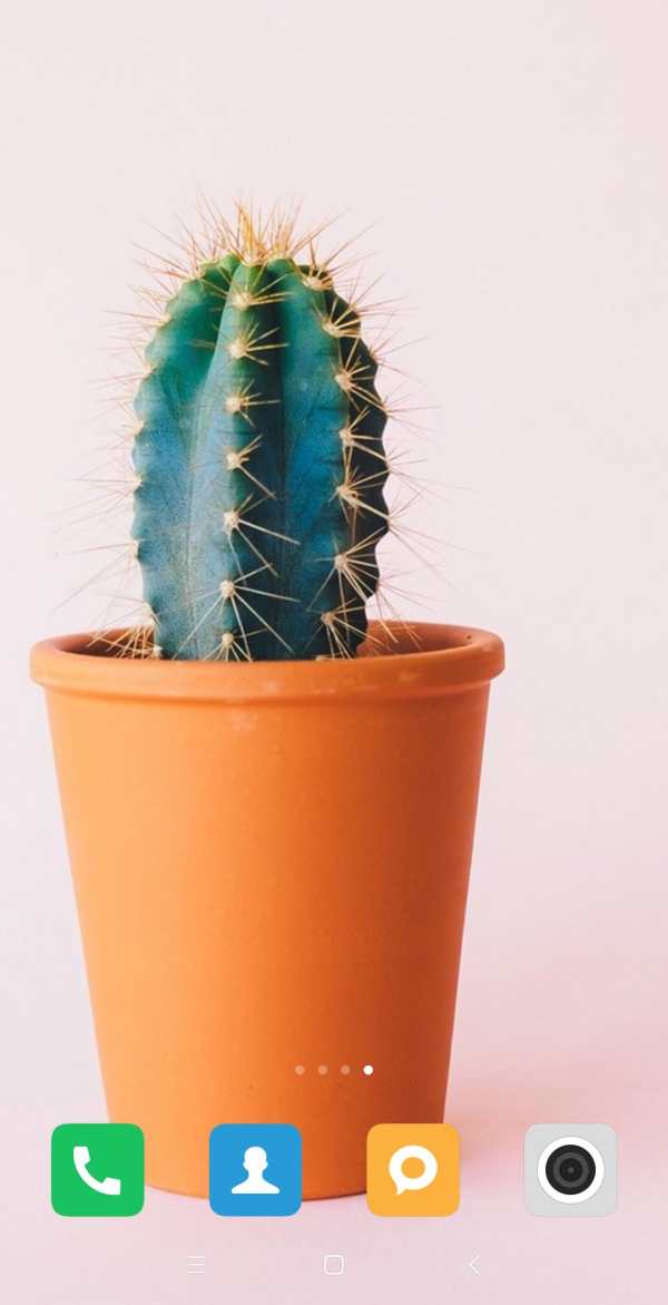 Cactus Wallpaper screenshot 7