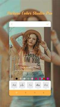 Picture Color Studio Pro screenshot 4
