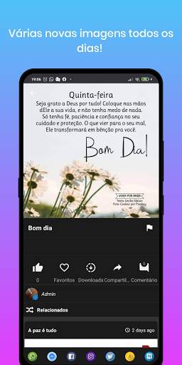 Zaper Imagens e vídeos para status screenshot 5