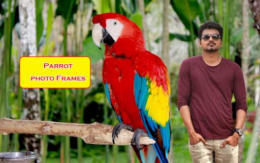 Parrot Photo Frames screenshot 4
