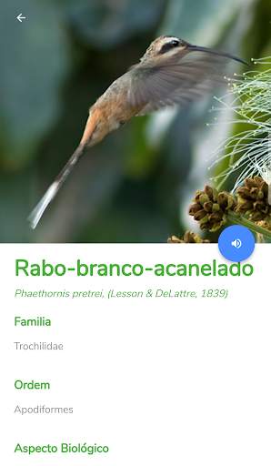 Fauna do Piaui screenshot 5