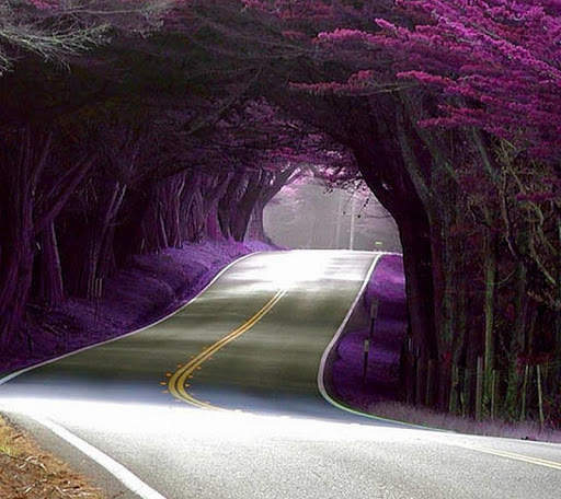 3D HD Wallpapers 2020-2021 screenshot 6