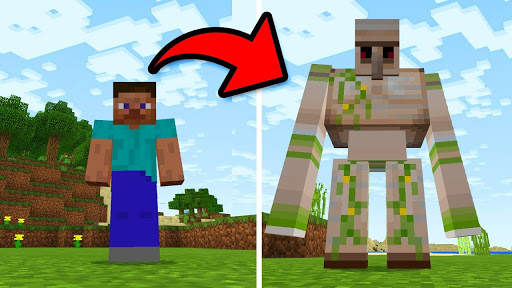 Hide Morph Mod Minecraft screenshot 1