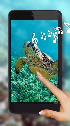 Turtles Best Live Wallpaper screenshot 1