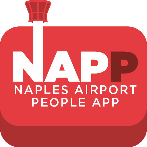 NAPP иконка