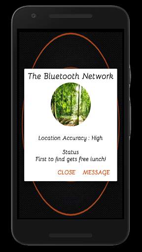 The Bluetooth Network screenshot 3