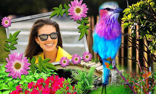 Birds Photo Frames HD screenshot 3