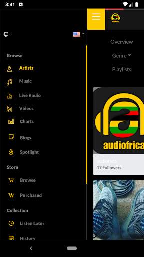 Audiofrica Artist screenshot 3