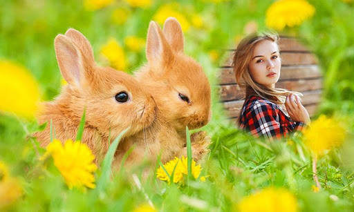 Rabbit Photo Frames screenshot 1