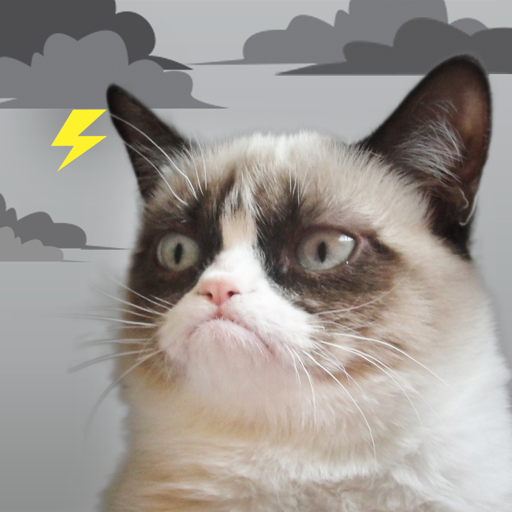 Grumpy Cat Weather иконка