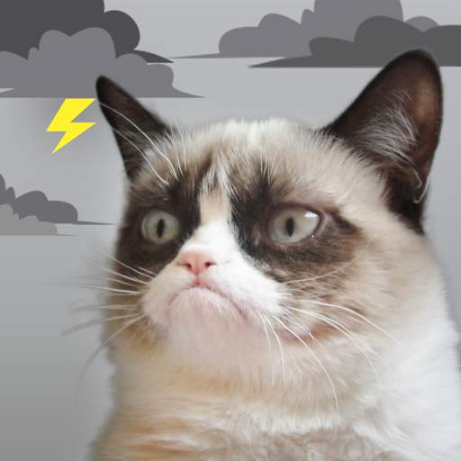 Grumpy Cat Weather 5.9.4