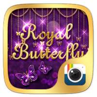 Z CAMERA ROYAL BUTTERFLY THEME