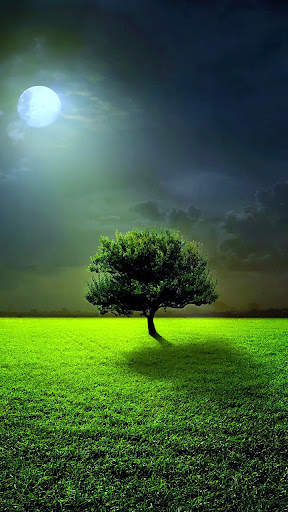 Nature wallpaper hd app offline screenshot 8