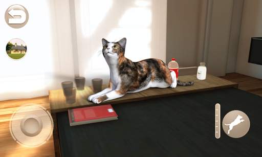 Konuşan Calico Kedisi screenshot 5