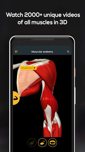 Anatomy by Muscle & Motion screenshot 5