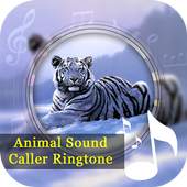 Animals Sound & Caller Ringtone 1.0