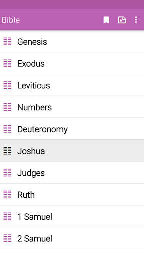 Audio Bible offline screenshot 2