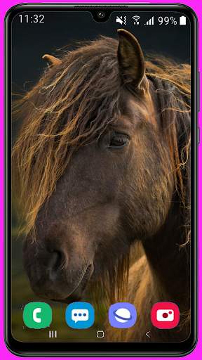 Horse Wallpaper Best HD screenshot 16