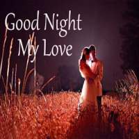 Good Night: Greetings, GIF Wishes, Text SMS Quotes icon